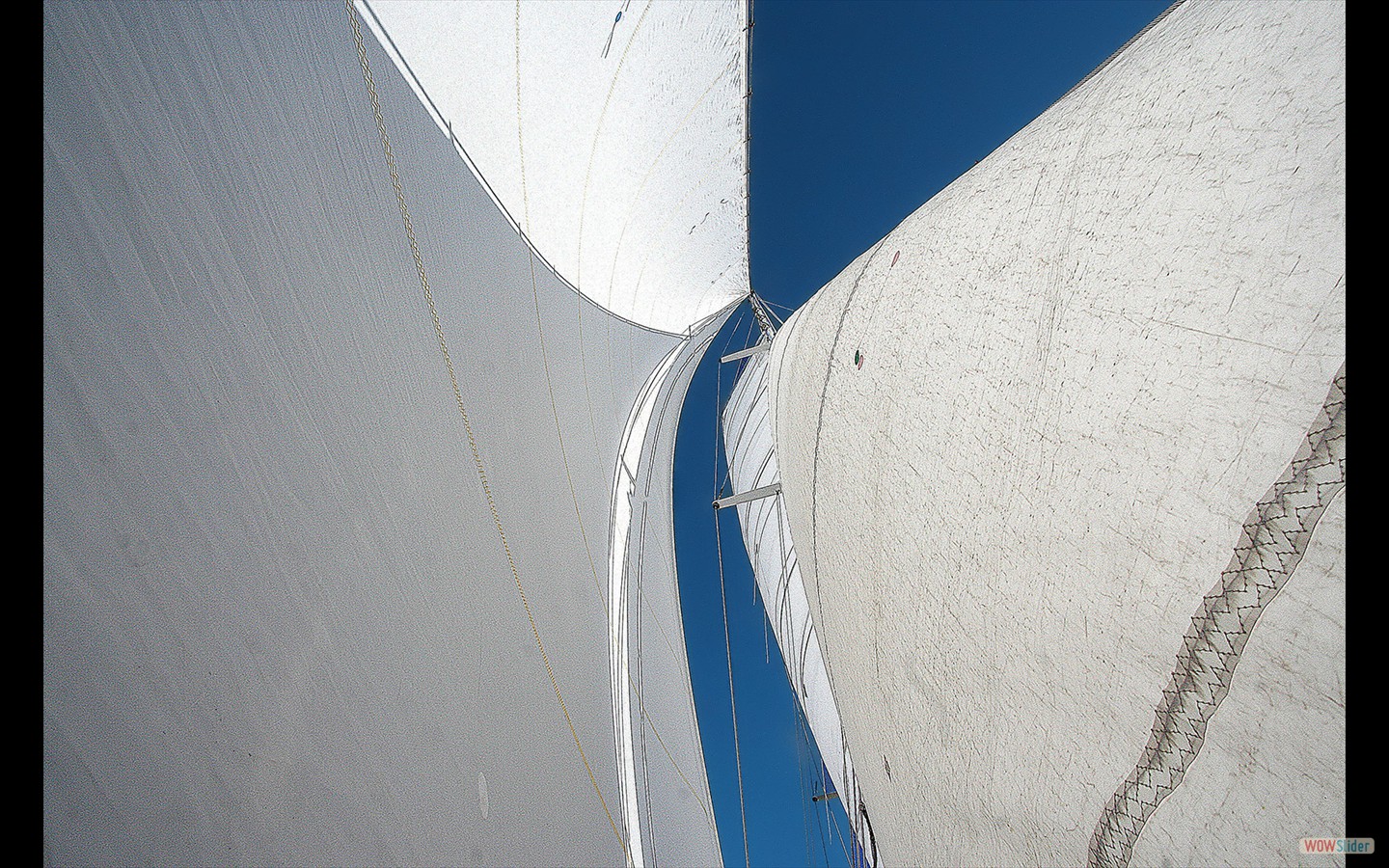 genua, fock und schoner